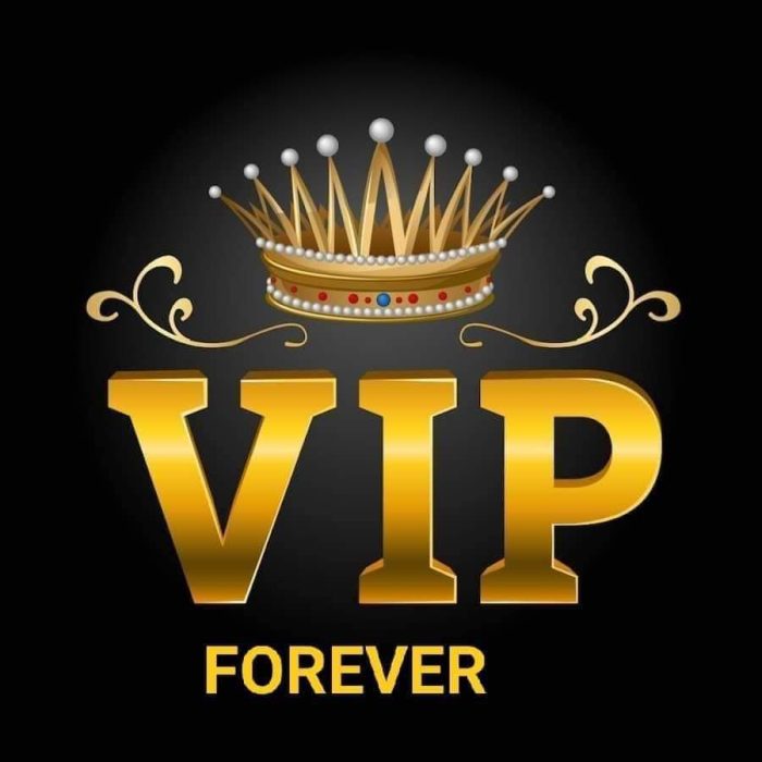 VIP Package Renew Code For Africa And MENA Region Only