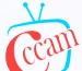 cccam server activation – 12 months